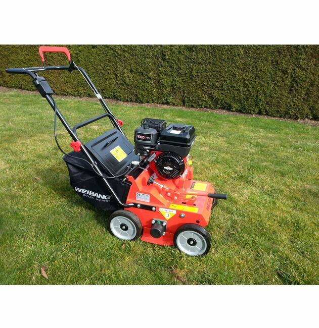 wynajem koparki łańcuchowej rębak spalinowy miniładowarka