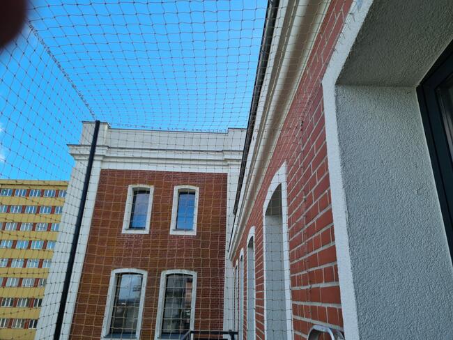 Siatka dla KOTA, siatka na balkon ZIELONA GÓRA