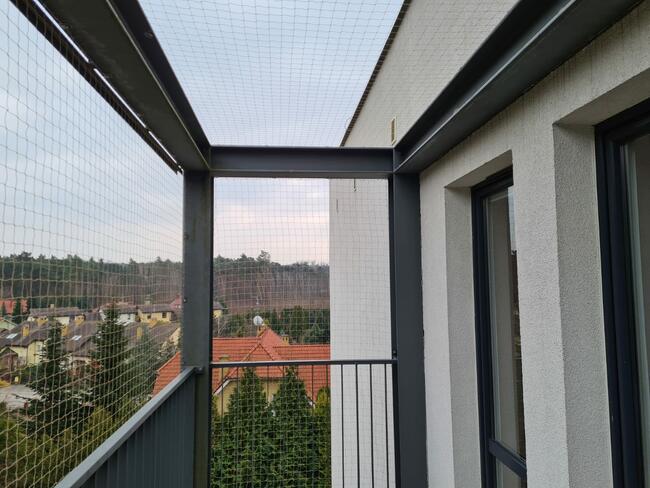Siatka dla KOTA, siatka na balkon ZIELONA GÓRA