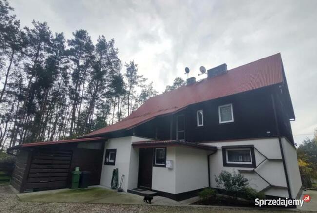 Sprzedam dom na wsi w otoczeniu lasu