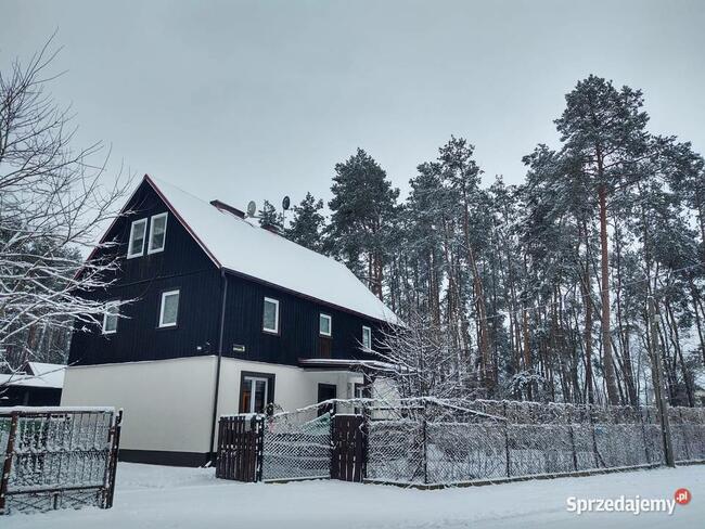 Sprzedam dom na wsi w otoczeniu lasu