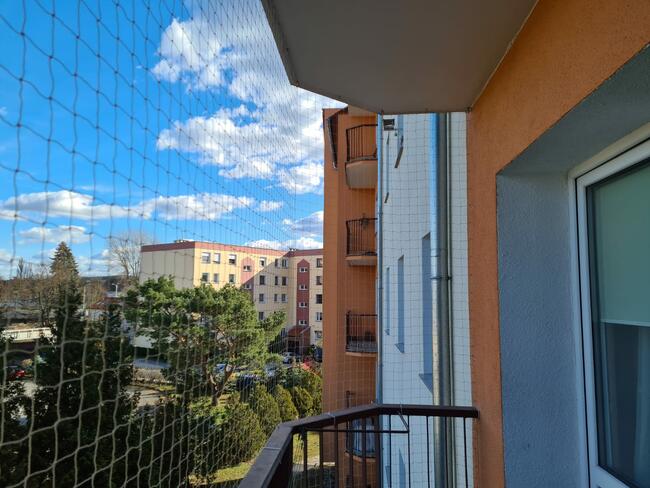 Siatka dla KOTA, siatka na balkon ZIELONA GÓRA