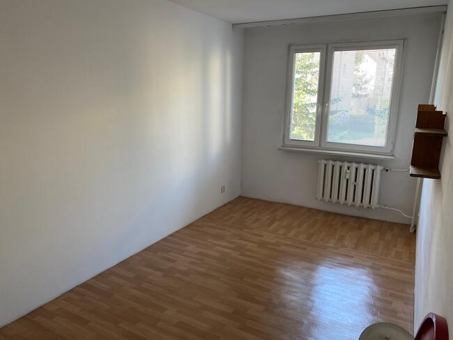 mieszkanie atrakcyjne na wynajem