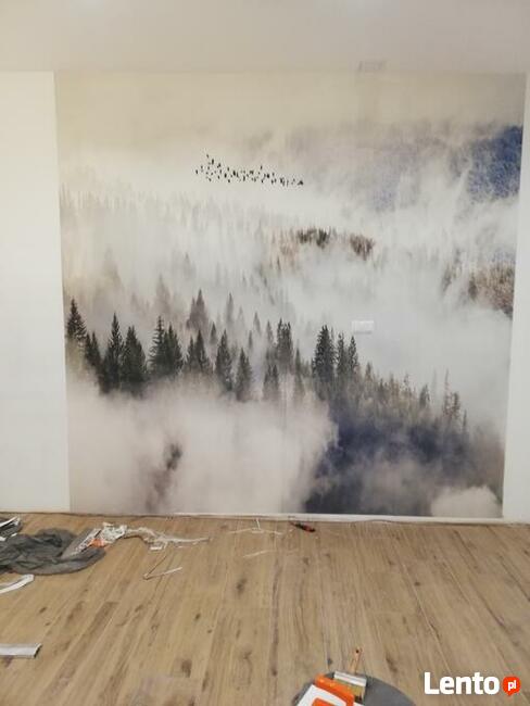 Wykonam remonty mieszkań ,nieruchowosci