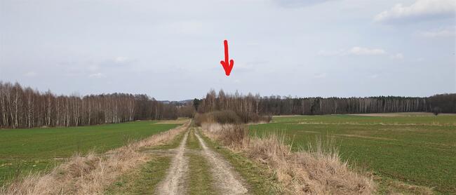 sprzedam 3 działki rekreacyjne