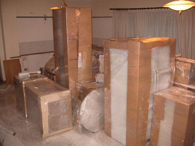 TRANSPORT PIANIN ŁÓDŹ, TRANSPORT PIANIN woj. łódzkie, EKIPA