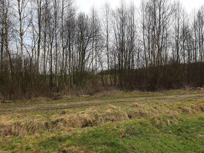 sprzedam 3 działki rekreacyjne