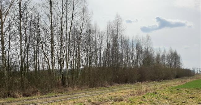 sprzedam 3 działki rekreacyjne