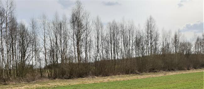 sprzedam 3 działki rekreacyjne