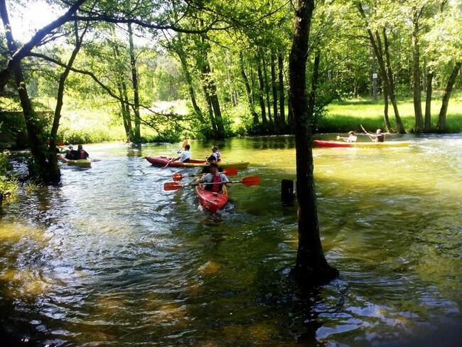 Kajaki na Kaszubach - spływ kajakowy - rzeka Wda