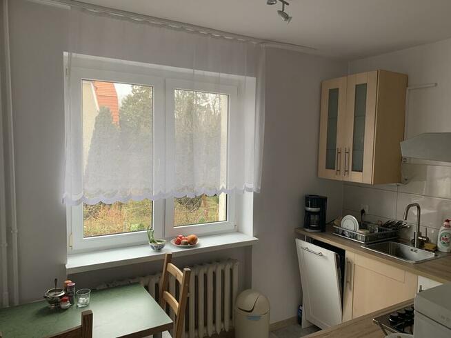 Do wynajęcia dom we Wrocławiu