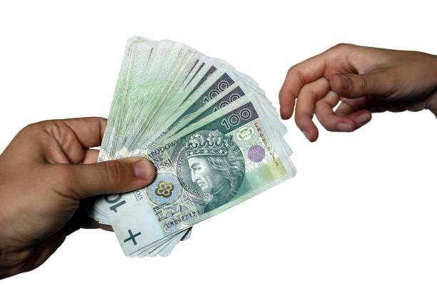 PROFESJONALNY SKUP WŁOSÓW ŁOWICZ