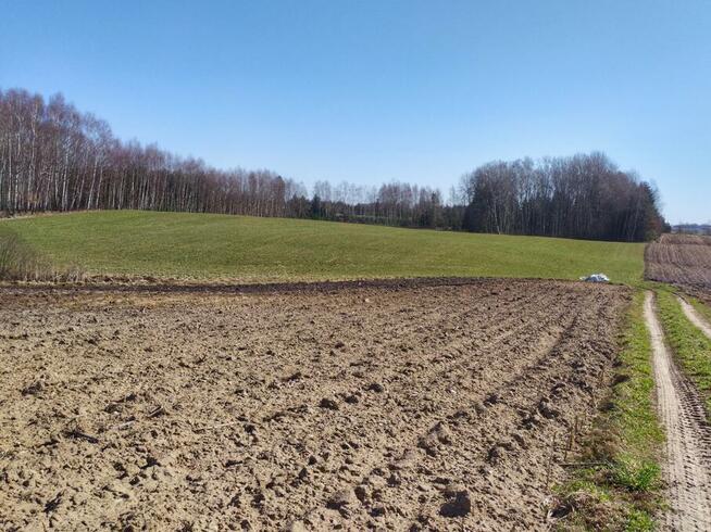 Gospodarstwo rolne z zabudowaniami