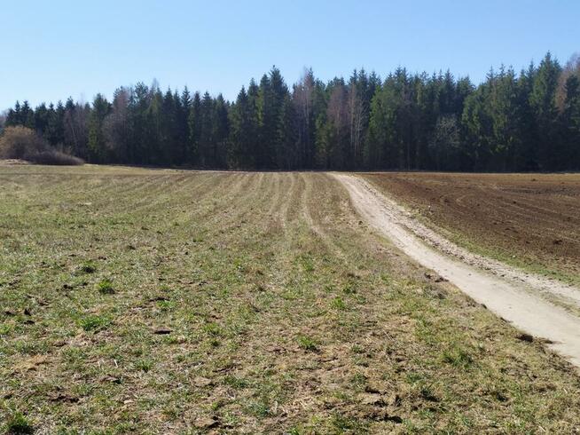 Gospodarstwo rolne z zabudowaniami