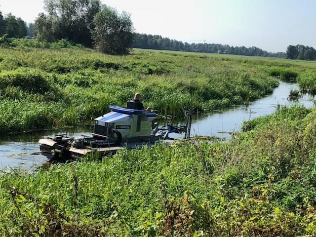 Wykaszanie Roślinności Wodnej, Odmulanie - Stawu