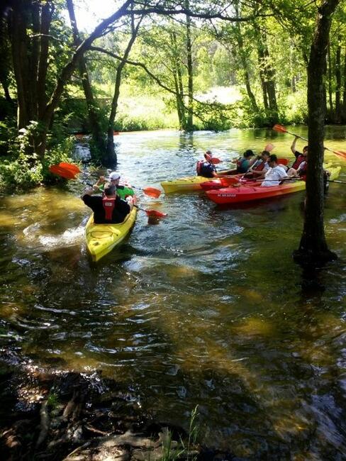 Kajaki na Kaszubach - spływ kajakowy - rzeka Wda