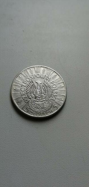 Skup banknotów Łódź ul Więckowskiego 26