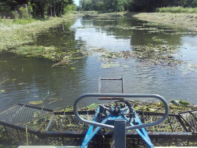 Wykaszanie Roślinności Wodnej, Odmulanie - Stawu