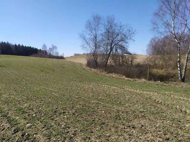 Gospodarstwo rolne z zabudowaniami