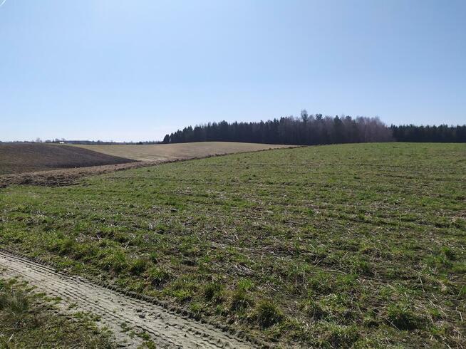 Gospodarstwo rolne z zabudowaniami