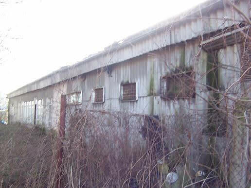 Działka komercyjna 2008 m2 z budynkami 500 m2 w Strzelinie