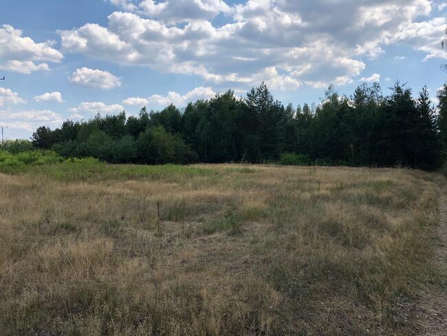 Działka Inwestycyjna Nieporęt- NAD Zalewem Zegrzyńskim