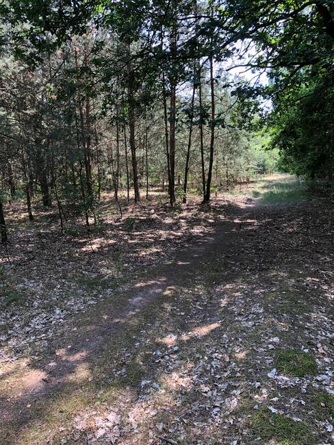 Działka Inwestycyjna Nieporęt- NAD Zalewem Zegrzyńskim