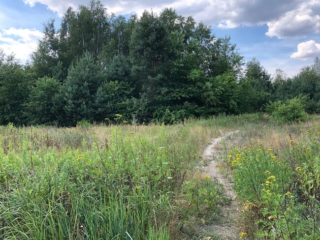 Działka Inwestycyjna Nieporęt- NAD Zalewem Zegrzyńskim