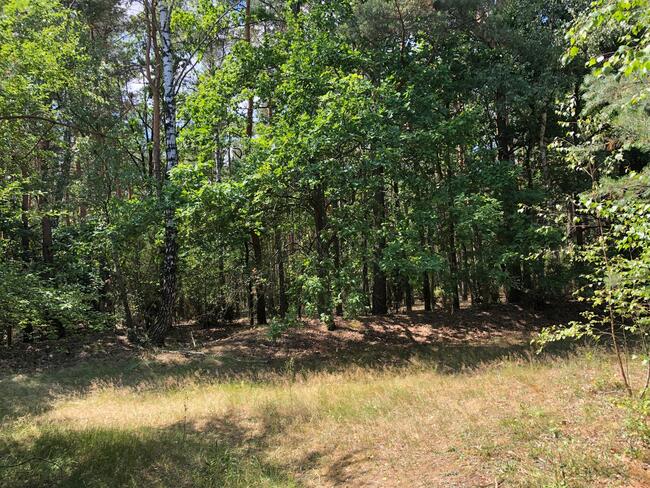 Działka Inwestycyjna Nieporęt- NAD Zalewem Zegrzyńskim