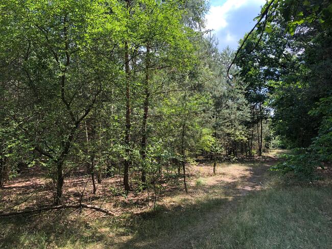 Działka Inwestycyjna Nieporęt- NAD Zalewem Zegrzyńskim