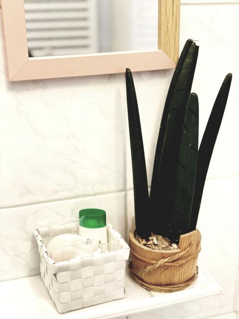 Kawalerka na Starówce