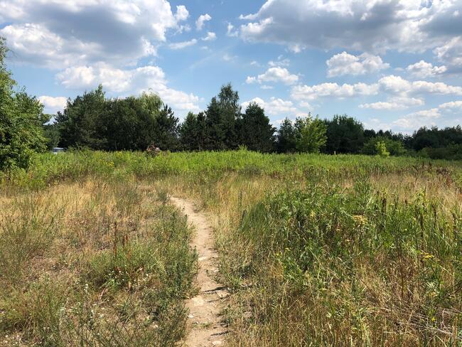 Działka Inwestycyjna Nieporęt- NAD Zalewem Zegrzyńskim