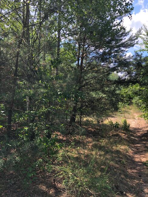 Działka Inwestycyjna Nieporęt- NAD Zalewem Zegrzyńskim