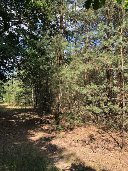 Działka Inwestycyjna Nieporęt- NAD Zalewem Zegrzyńskim