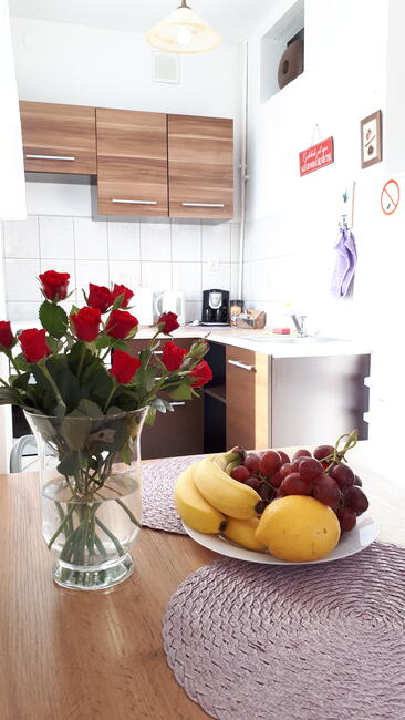 Kawalerka na Starówce