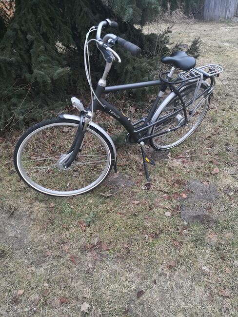 rower Batavus męski