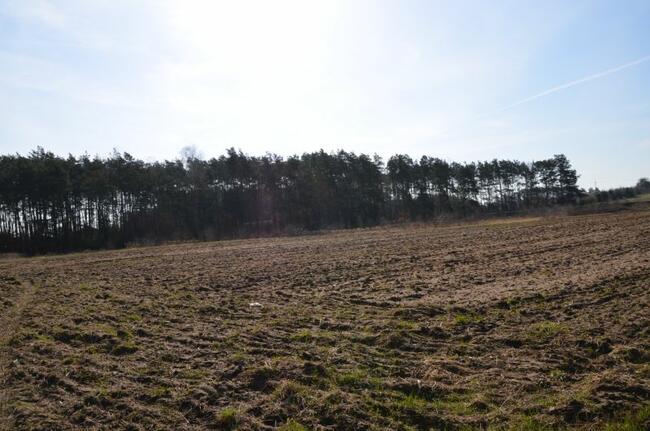 Atrakcyjnie zlokalizowane działki pod inwestycje