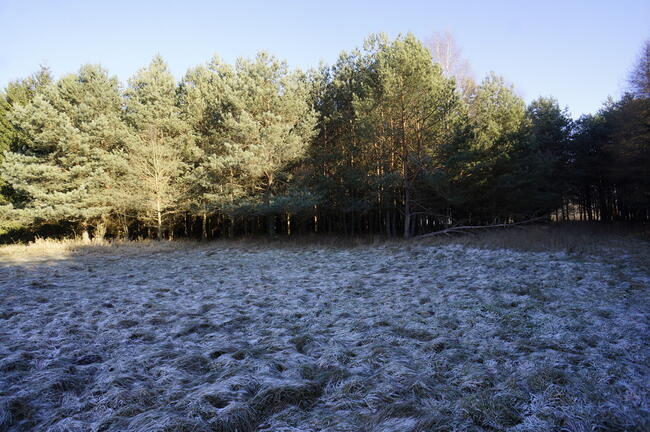 Biała Piska (gw), Drygały dzialka