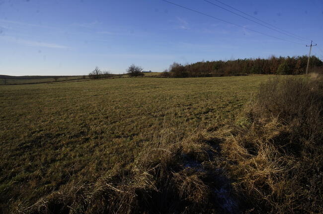 Biała Piska (gw), Drygały Dzialka