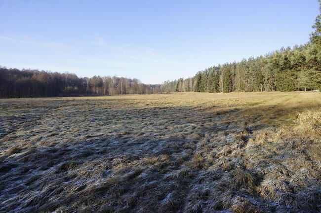 Biała Piska (gw), Drygały dzialka