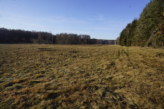 Biała Piska (gw), Drygały dzialka