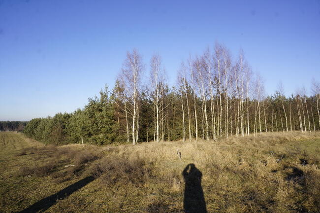 Biała Piska (gw), Drygały Dzialka