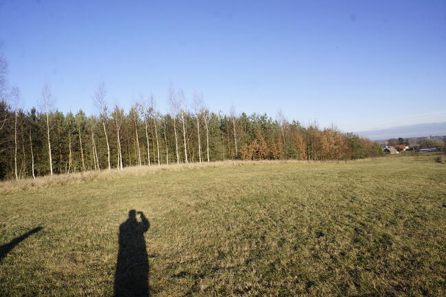 Biała Piska (gw), Drygały Las