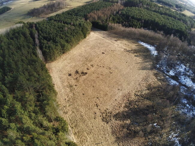 Biała Piska (gw), Drygały dzialka