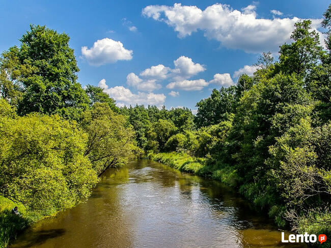 Camp-KAJAKOWO zaprasza na pole biwakowe 2024