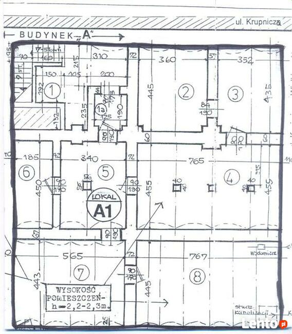 Stare Miasto lokal 165,50 m2 poziom -1