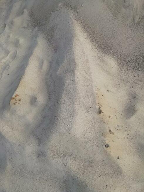 Wynajem koparko-ładowarki, koparki