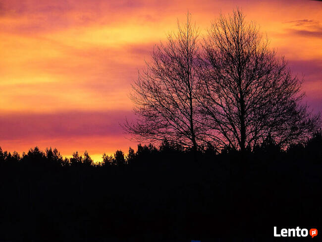 Camp-KAJAKOWO zaprasza na pole biwakowe 2024