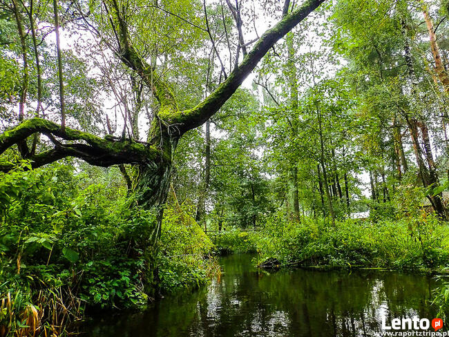 Camp-KAJAKOWO zaprasza na pole biwakowe 2024