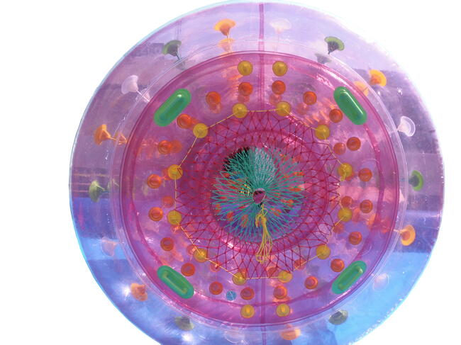 WALEC WODNY - WATER ROLLER 2,2m do basenów festyny